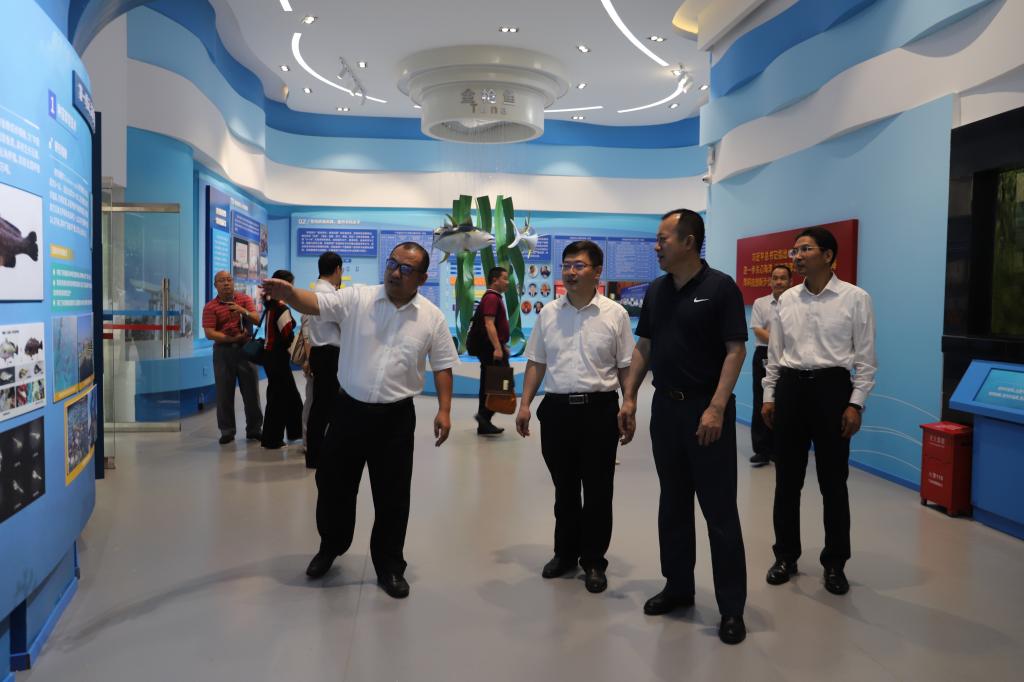 bevictor伟德官网